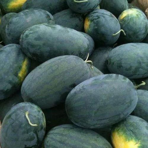 看瓜怎么吃的,看瓜吃瓜，解锁夏日消暑新姿势