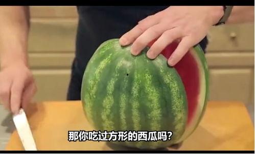 吃mc瓜,探寻MC瓜背后的美食奥秘
