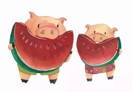 猪酱吃瓜,揭秘网络热词背后的趣味与思考