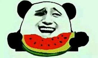 吃瓜套路是什么,揭秘网络热议背后的真相与技巧