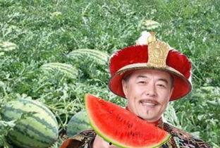 帝王路吃瓜,宫廷风云，吃瓜群众揭秘宫廷秘闻