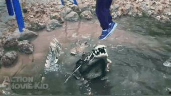 吃瓜之火视频,揭秘网络热传视频背后的故事