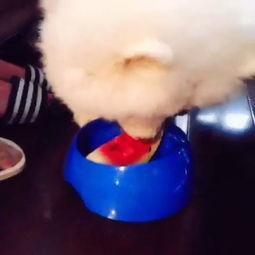 katrina吃瓜,揭秘娱乐圈幕后真相