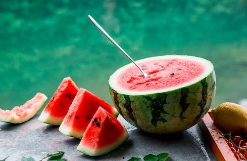 带你吃瓜诗句接龙,带你吃瓜诗句接龙之旅