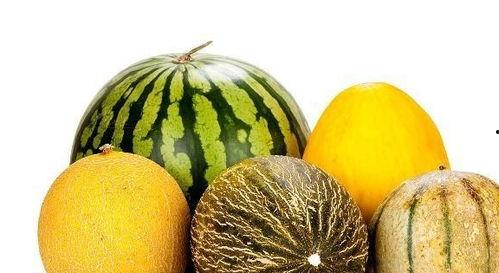 老晶吃瓜,揭秘娱乐圈那些不为人知的幕后故事