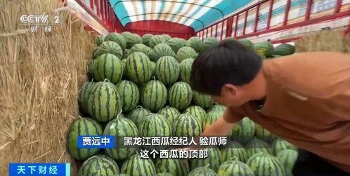 中成吃瓜,揭秘娱乐圈幕后故事