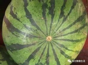 库尔勒微博吃瓜,揭秘网络舆论背后的真相