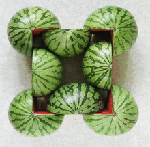 啤酒妹吃瓜,揭秘娱乐圈背后的故事